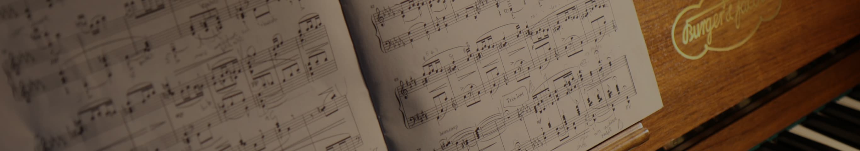 category-header